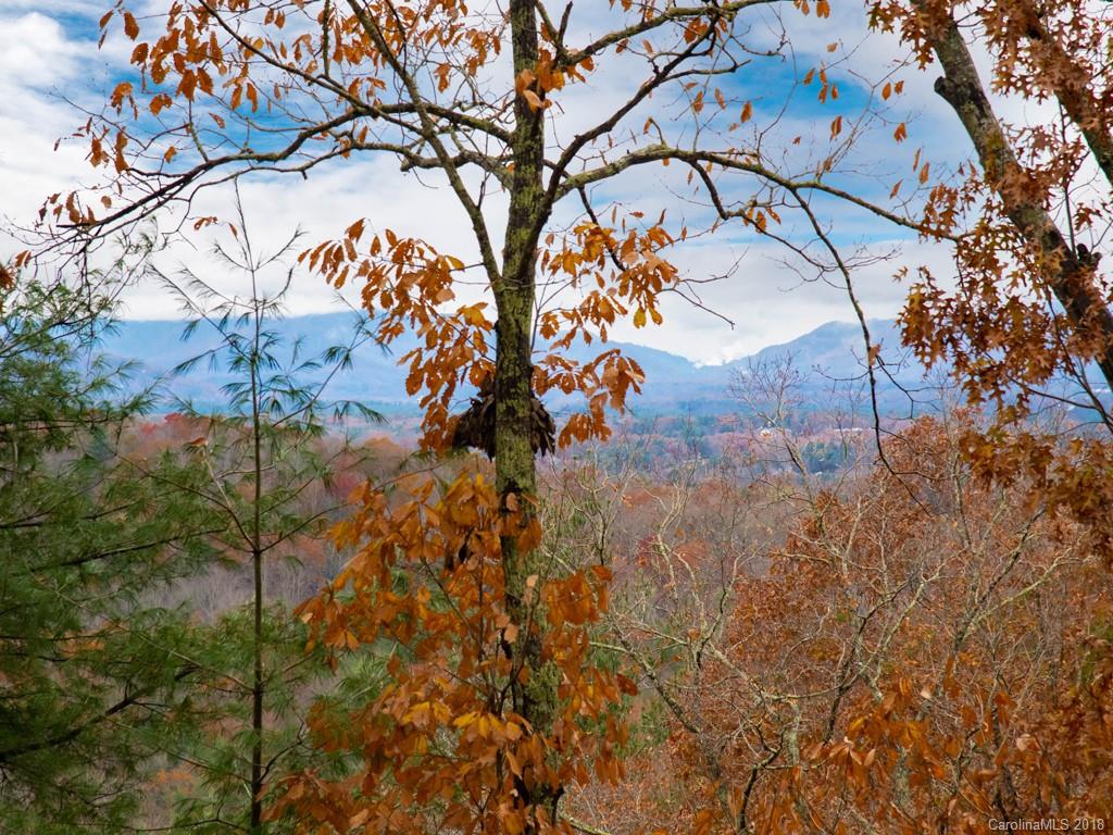 30 Cedar Summit Road Asheville, NC 28803 - Photo 4 of 36 Gallery Image 4