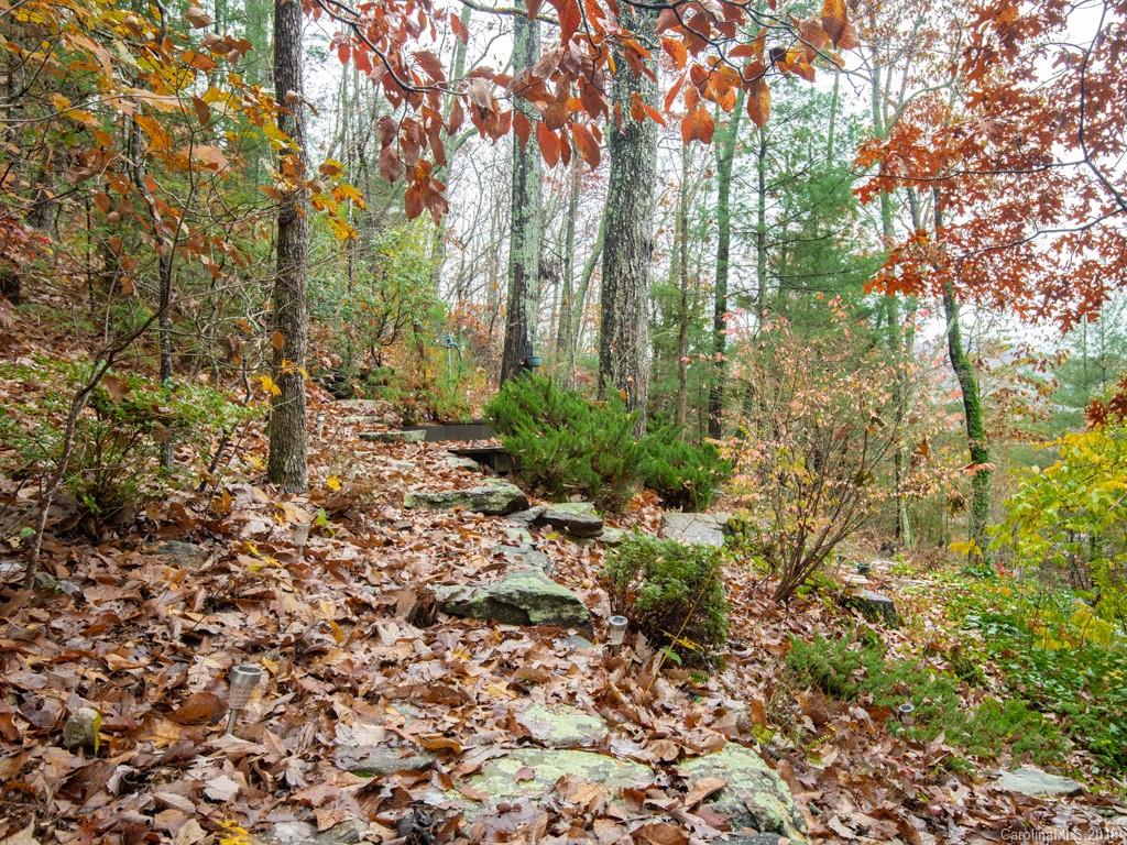 30 Cedar Summit Road Asheville, NC 28803 - Photo 34 of 36 Gallery Image 34