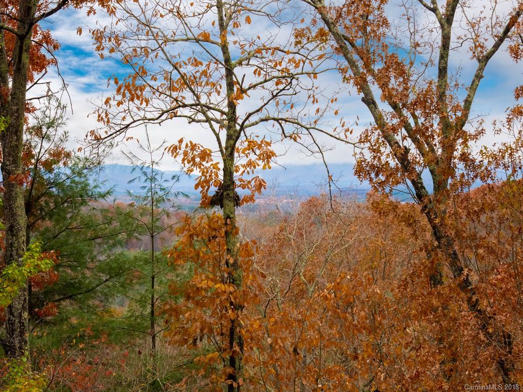 30 Cedar Summit Road Asheville, NC 28803 - Photo 36 of 36 Gallery Image 36