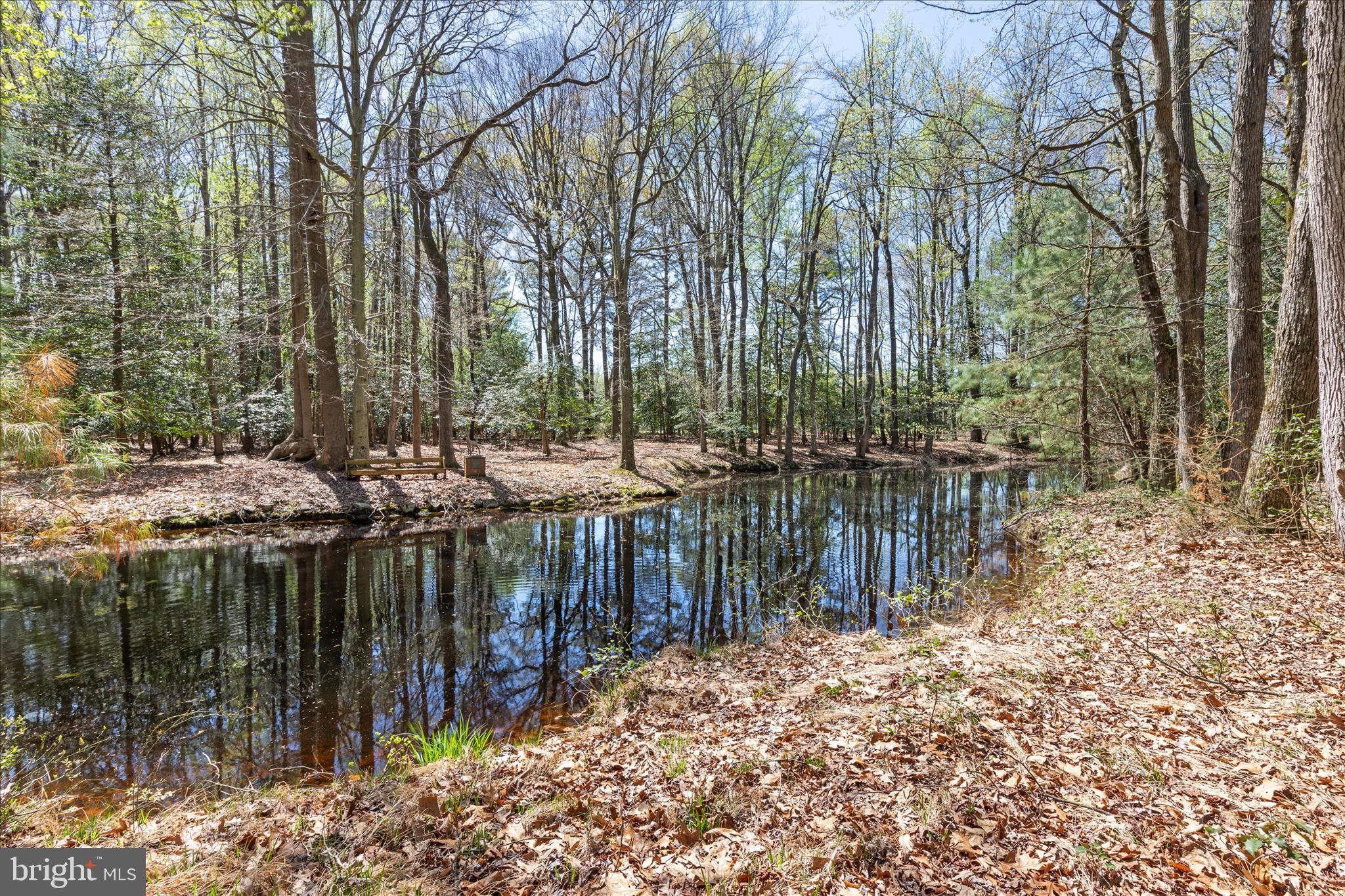 7805 Dyer Road Denton, MD 21629 - Photo 3 of 57 Incredible setting with Forestation