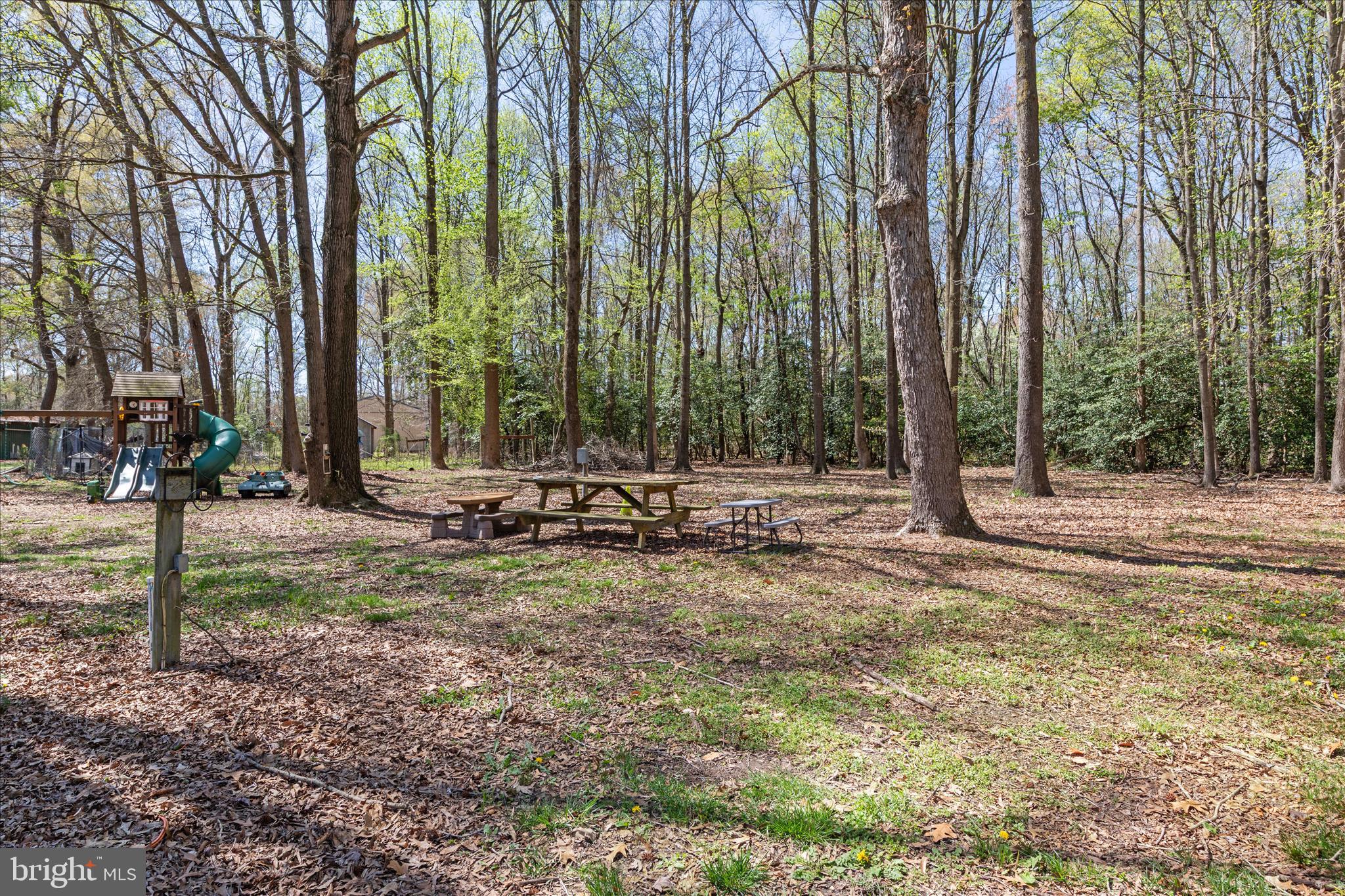 7805 Dyer Road Denton, MD 21629 - Photo 35 of 57 Side Yard nestled in the Woods