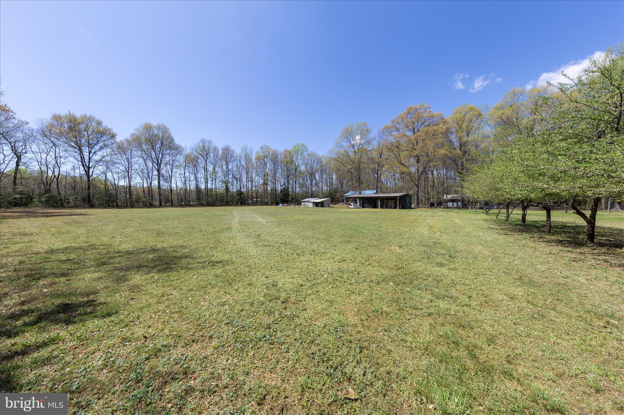 7805 Dyer Road Denton, MD 21629 - Photo 36 of 57 Lawn and Outbuildings