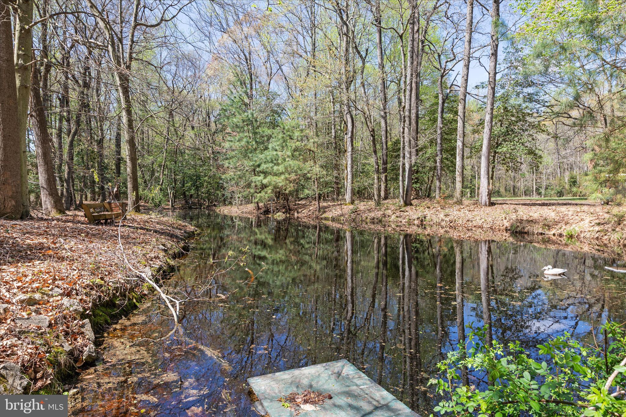 7805 Dyer Road Denton, MD 21629 - Photo 4 of 57 Park Like Property