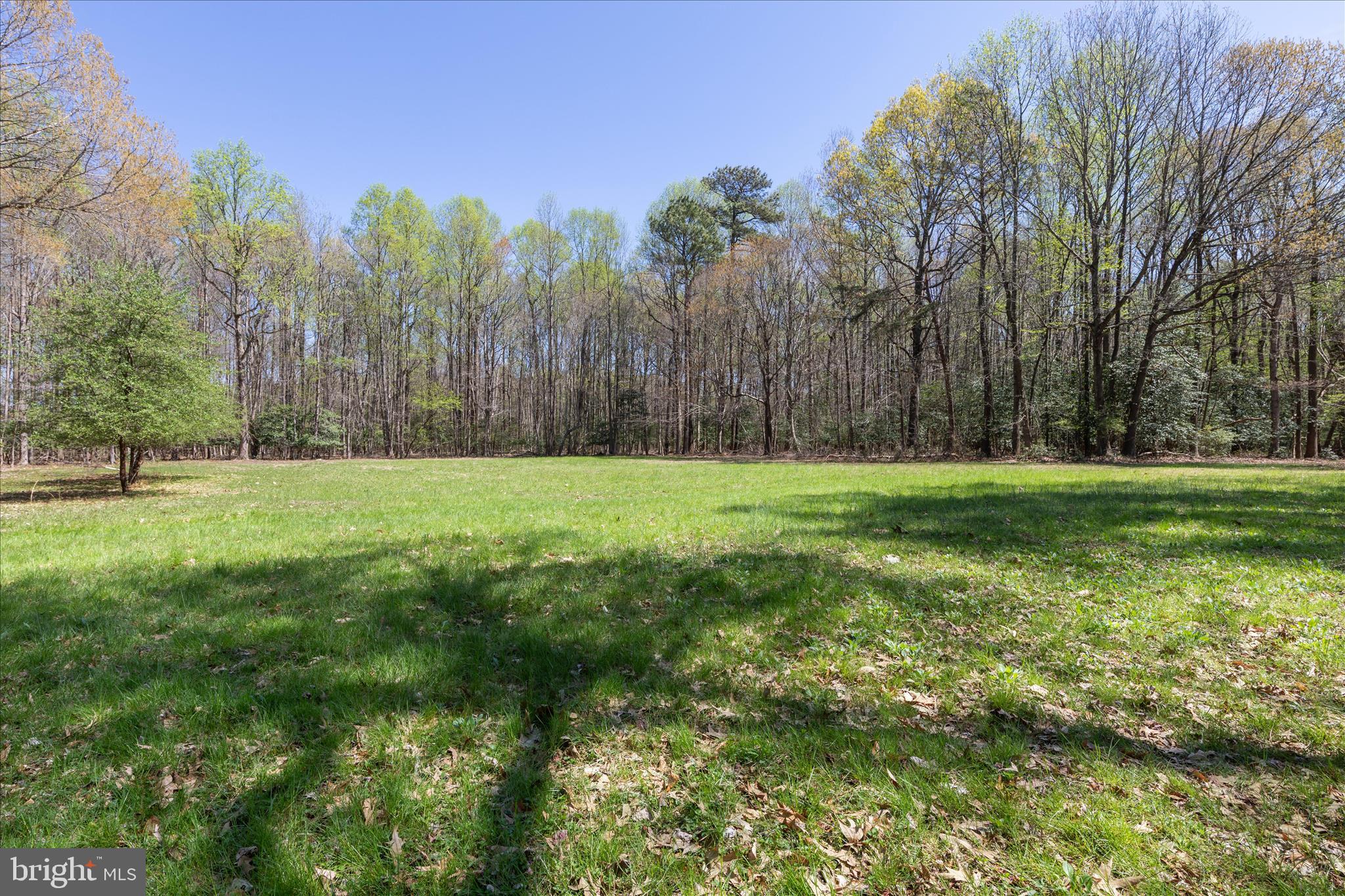 7805 Dyer Road Denton, MD 21629 - Photo 41 of 57 Lawn