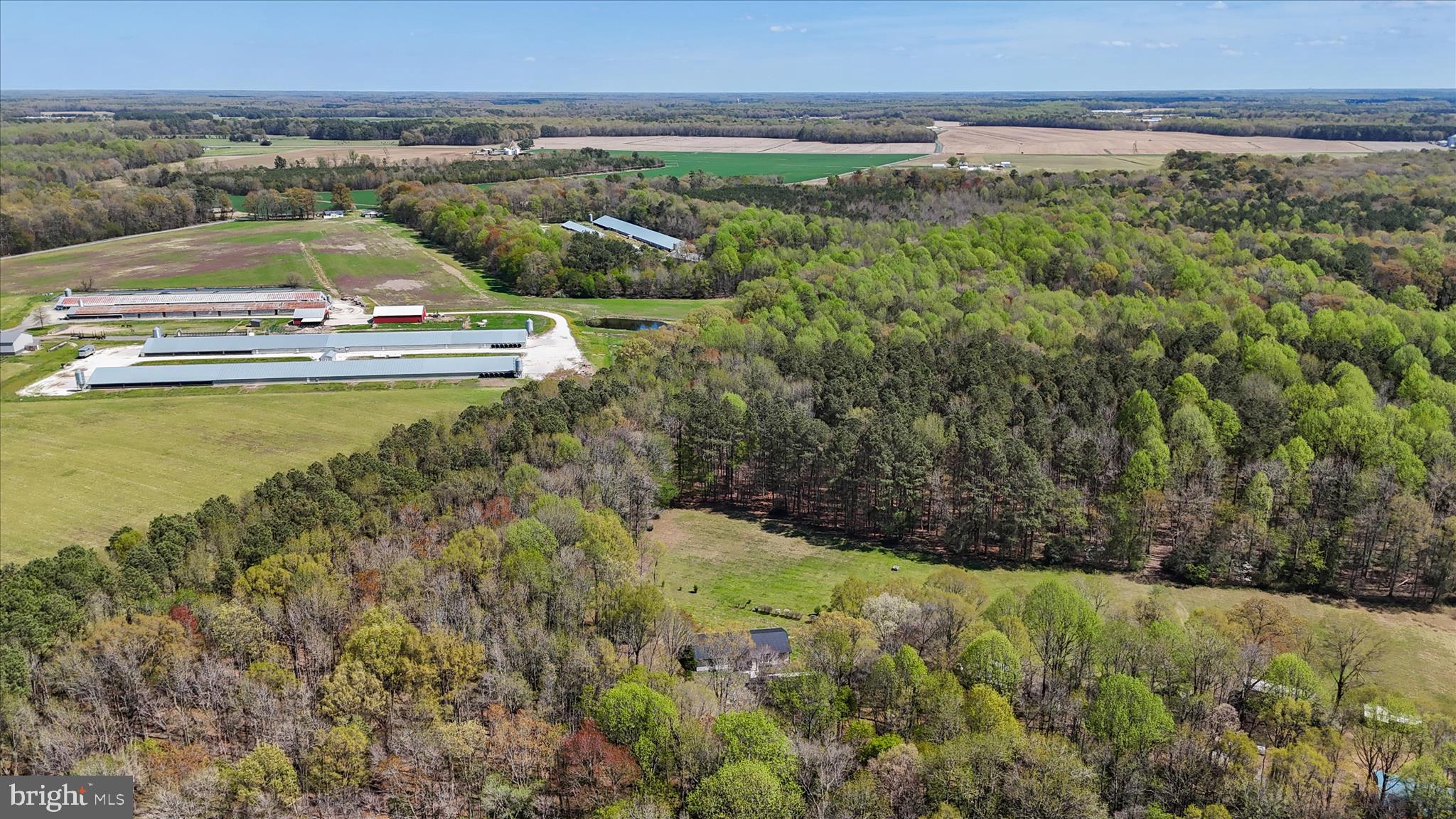 7805 Dyer Road Denton, MD 21629 - Photo 42 of 57 Ariel view of Property and Surrounding Area