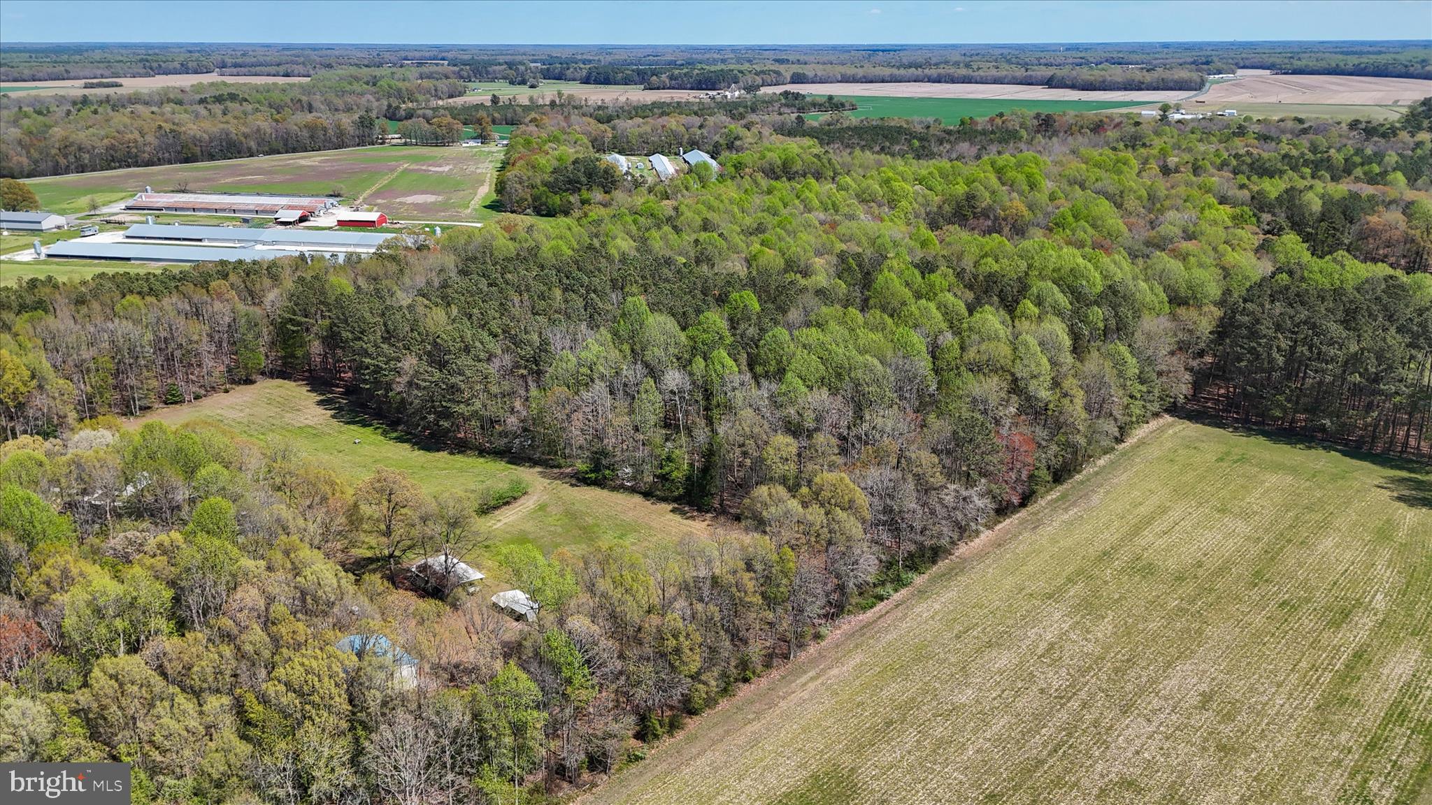 7805 Dyer Road Denton, MD 21629 - Photo 43 of 57 Ariel view of Property and Surrounding Area