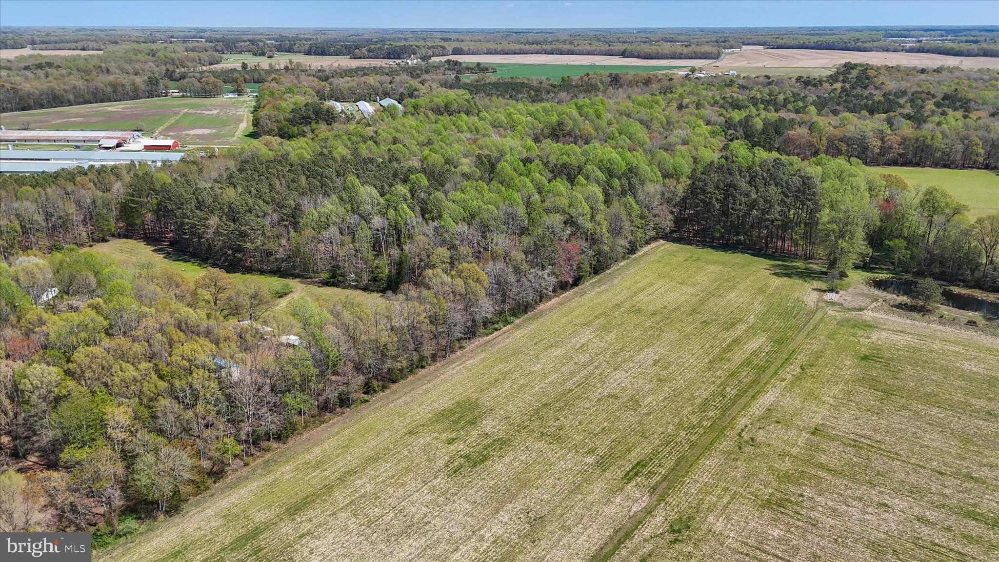 7805 Dyer Road Denton, MD 21629 - Photo 44 of 57 Ariel view of Property and Surrounding Area