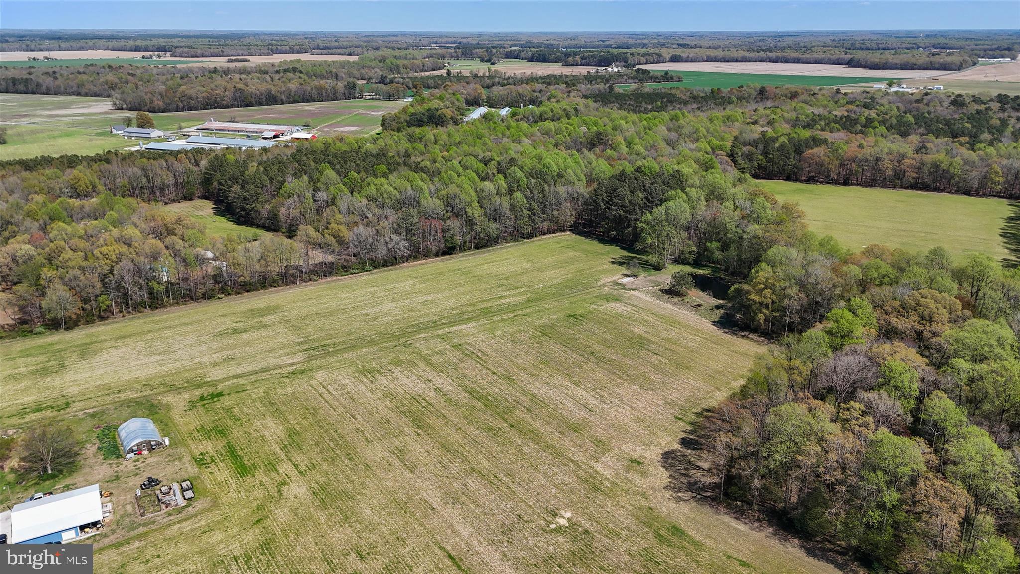 7805 Dyer Road Denton, MD 21629 - Photo 45 of 57 Ariel view of Property and Surrounding Area