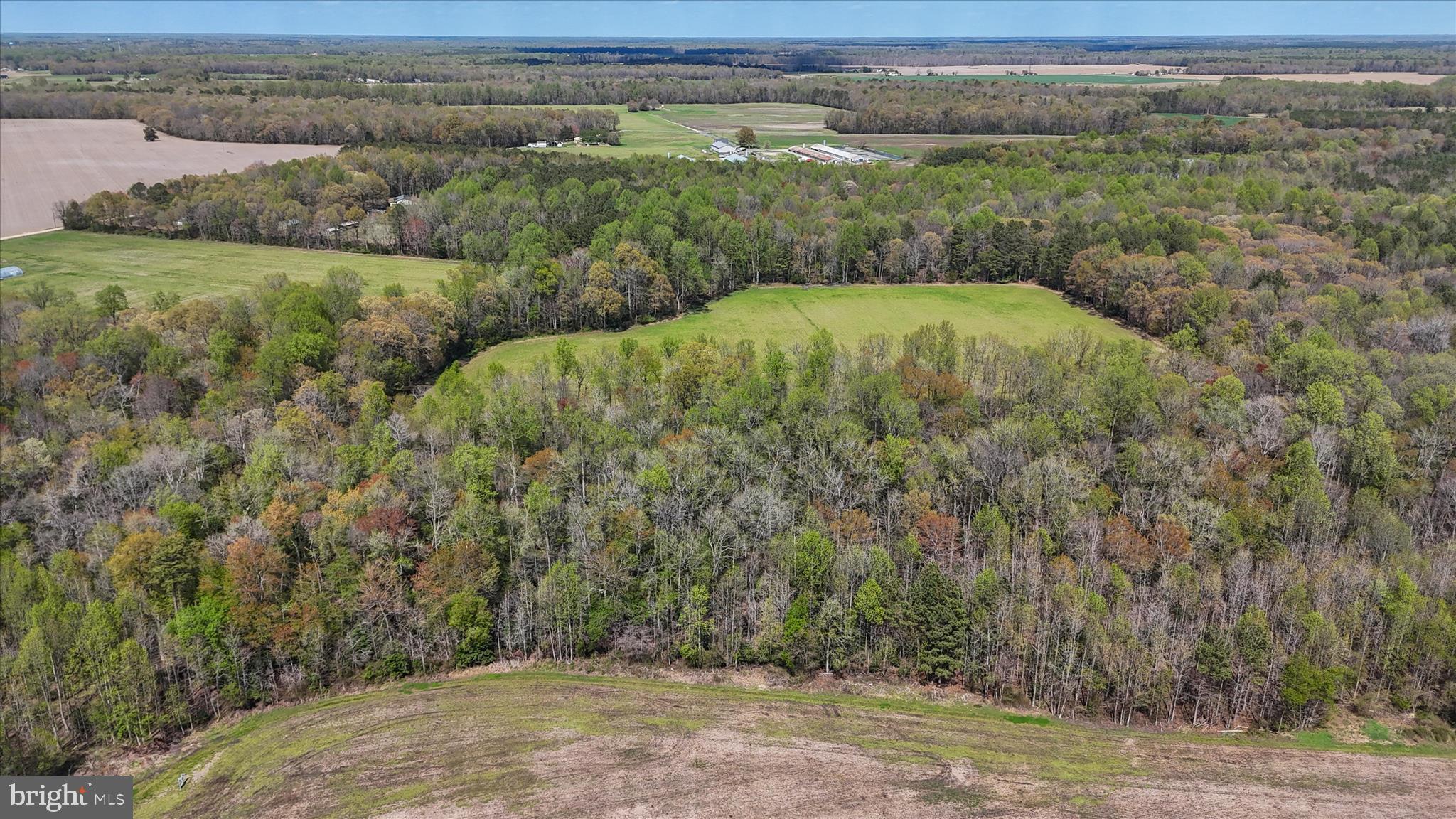 7805 Dyer Road Denton, MD 21629 - Photo 47 of 57 Ariel view of Property and Surrounding Area