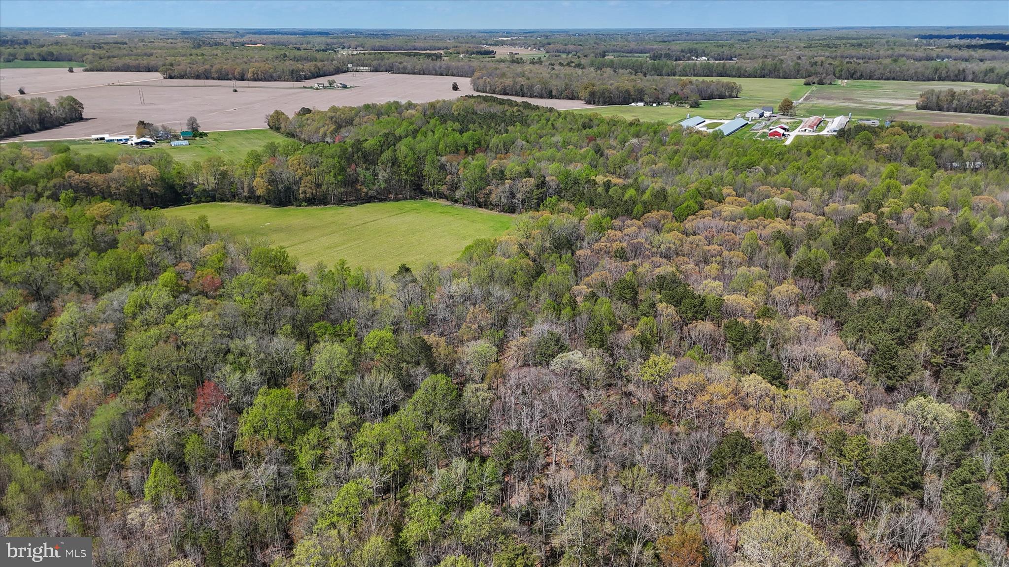 7805 Dyer Road Denton, MD 21629 - Photo 48 of 57 Ariel view of Property and Surrounding Area