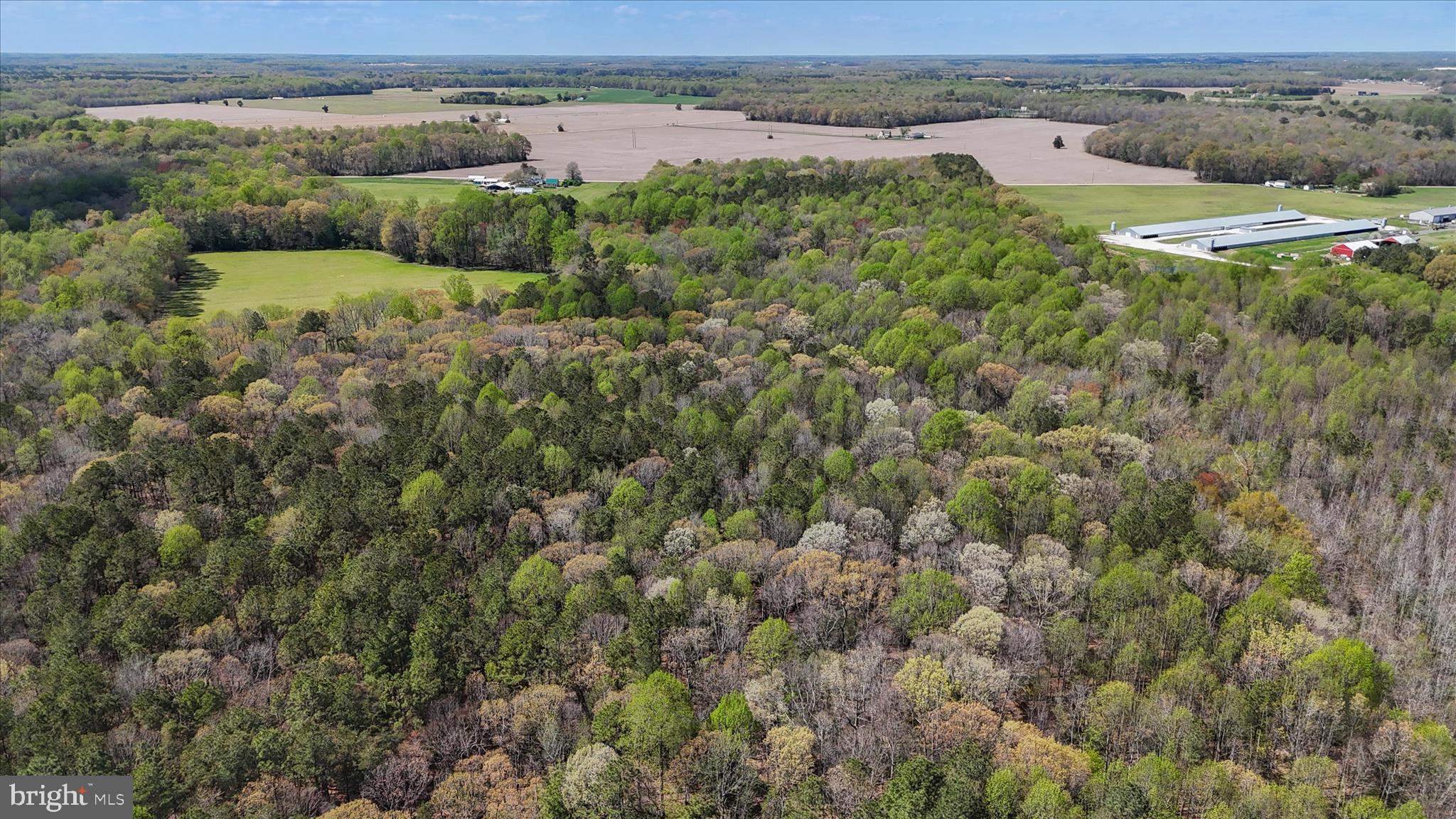 7805 Dyer Road Denton, MD 21629 - Photo 49 of 57 Ariel view of Property and Surrounding Area