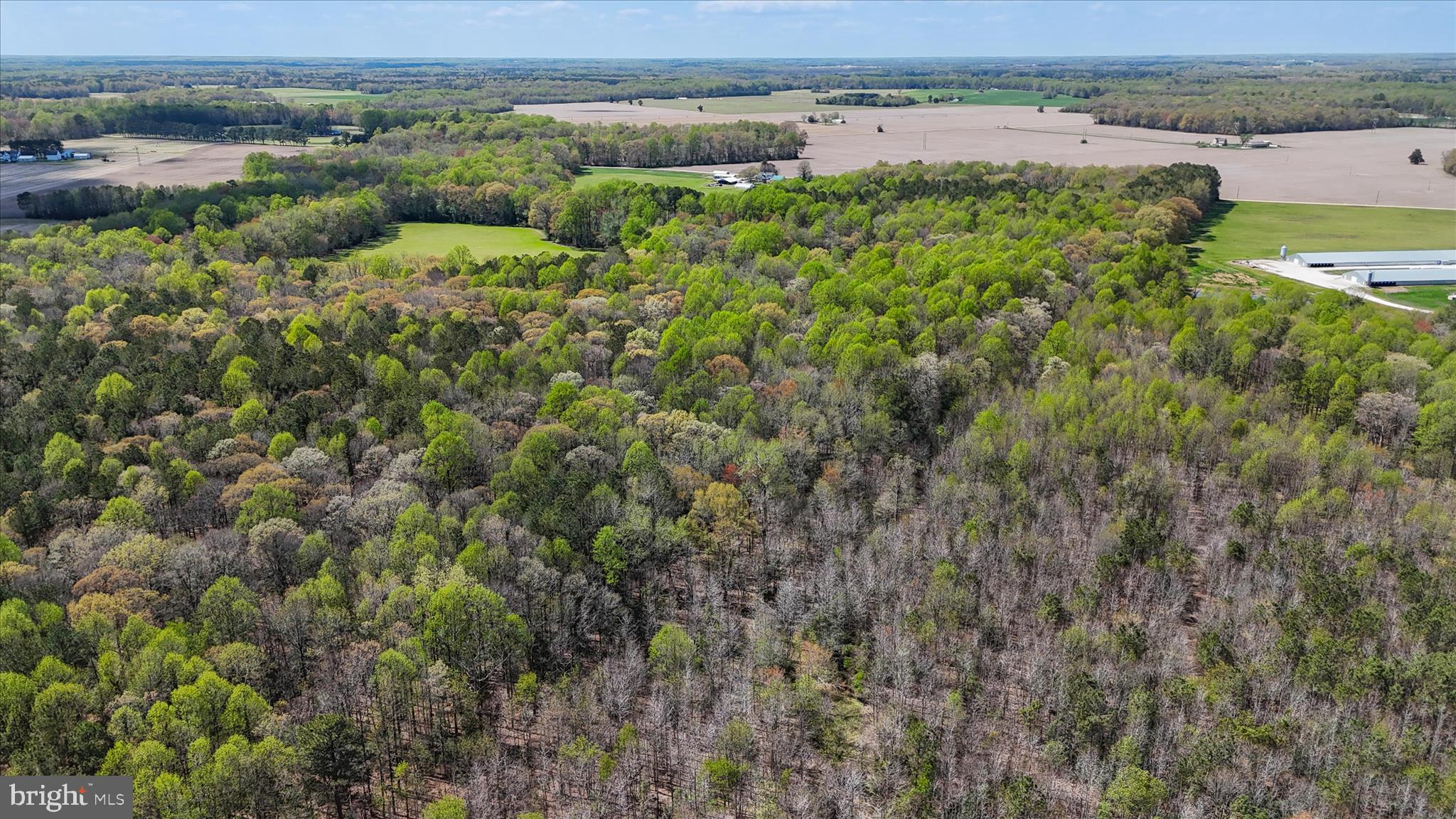7805 Dyer Road Denton, MD 21629 - Photo 50 of 57 Ariel view of Property and Surrounding Area