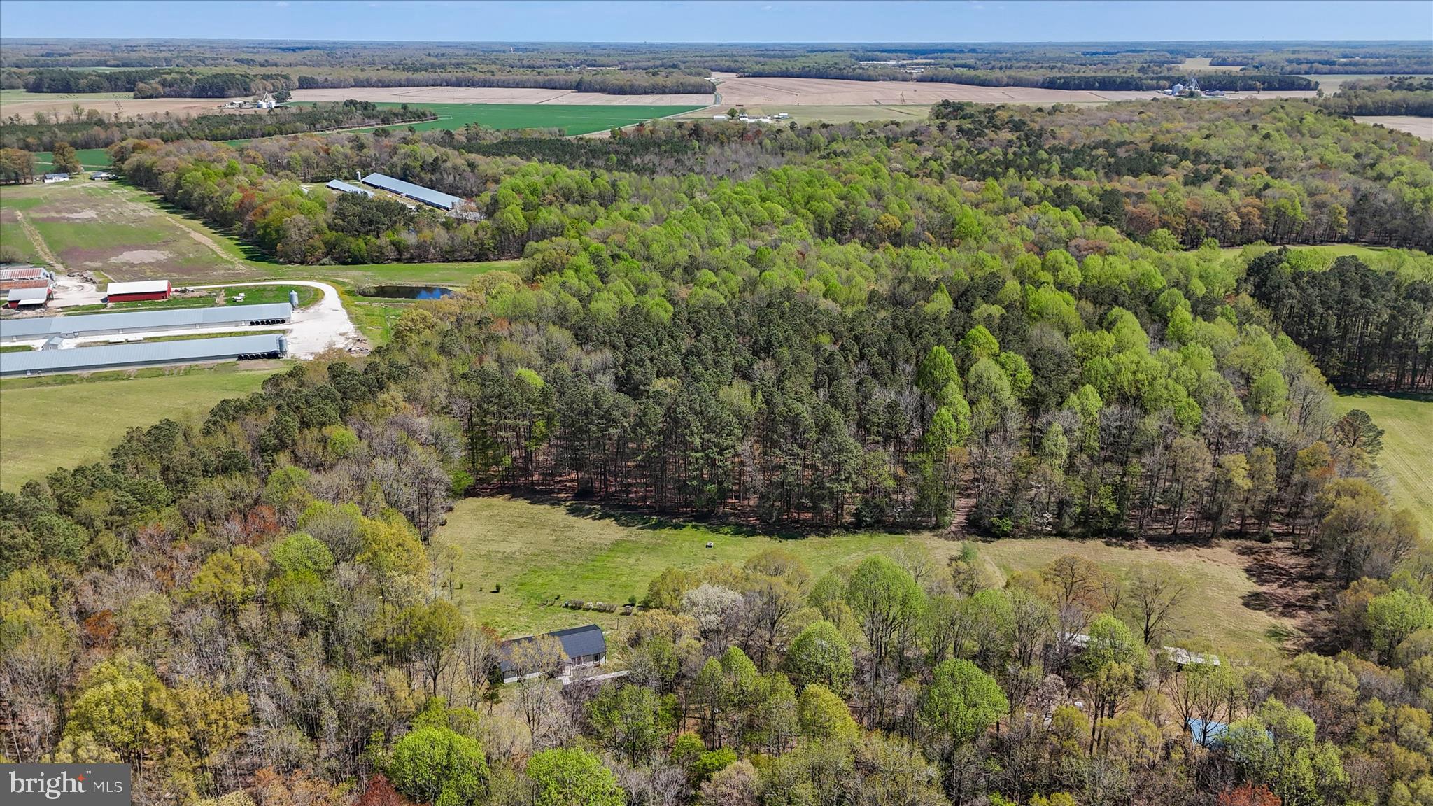 7805 Dyer Road Denton, MD 21629 - Photo 5 of 57 Ariel View of Gorgeous Wooded Land