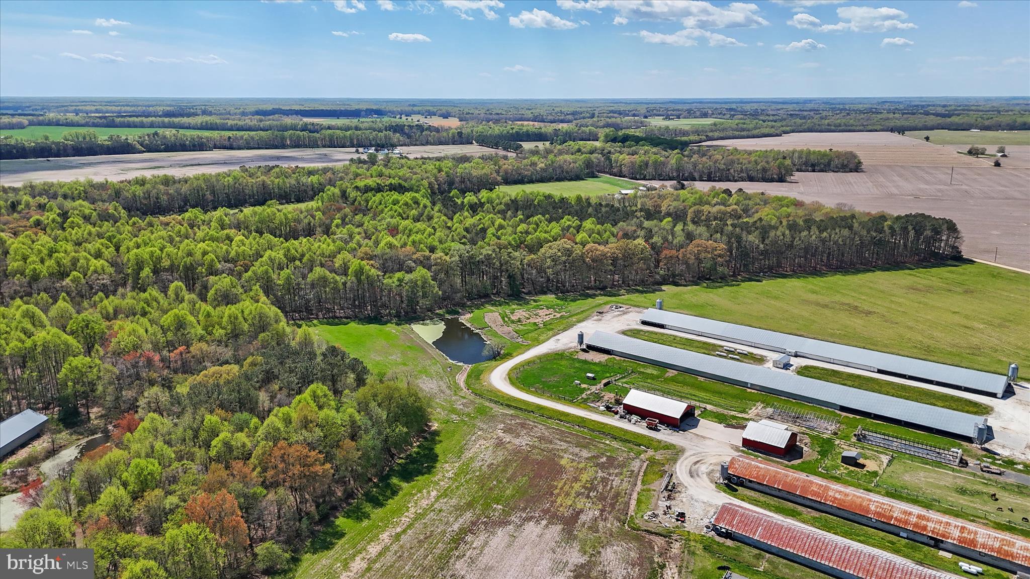 7805 Dyer Road Denton, MD 21629 - Photo 51 of 57 Ariel view of Property and Surrounding Area