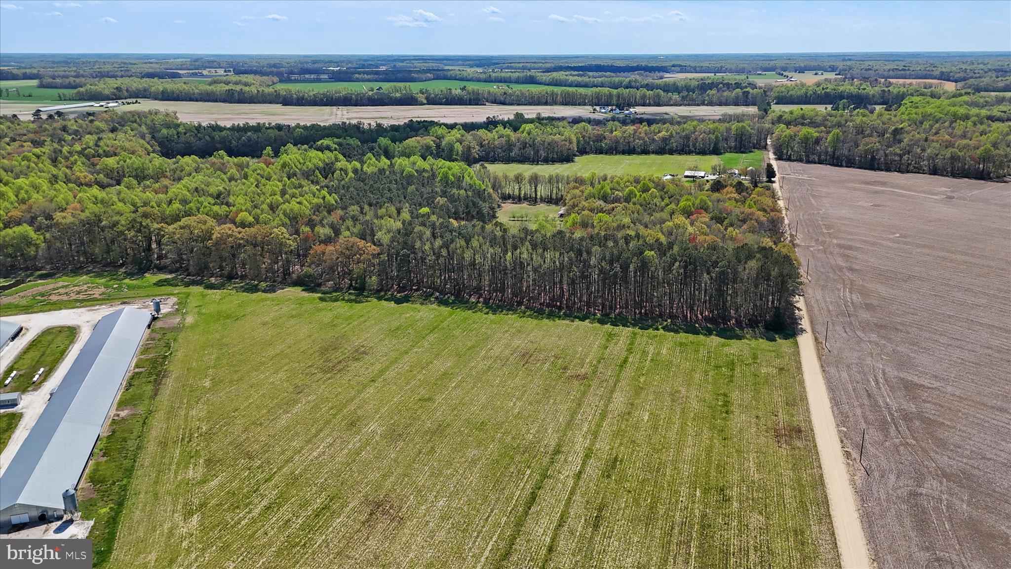 7805 Dyer Road Denton, MD 21629 - Photo 52 of 57 Ariel view of Property and Surrounding Area
