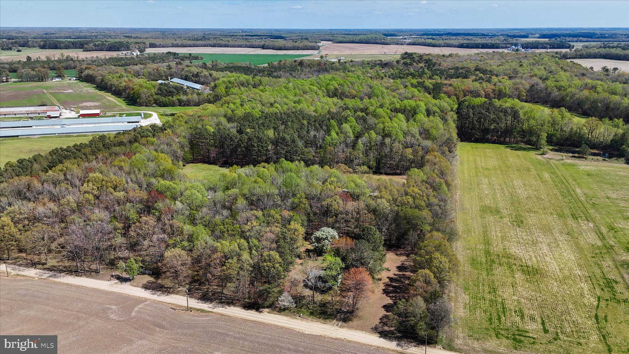 7805 Dyer Road Denton, MD 21629 - Photo 53 of 57 Ariel view of Property and Surrounding Area