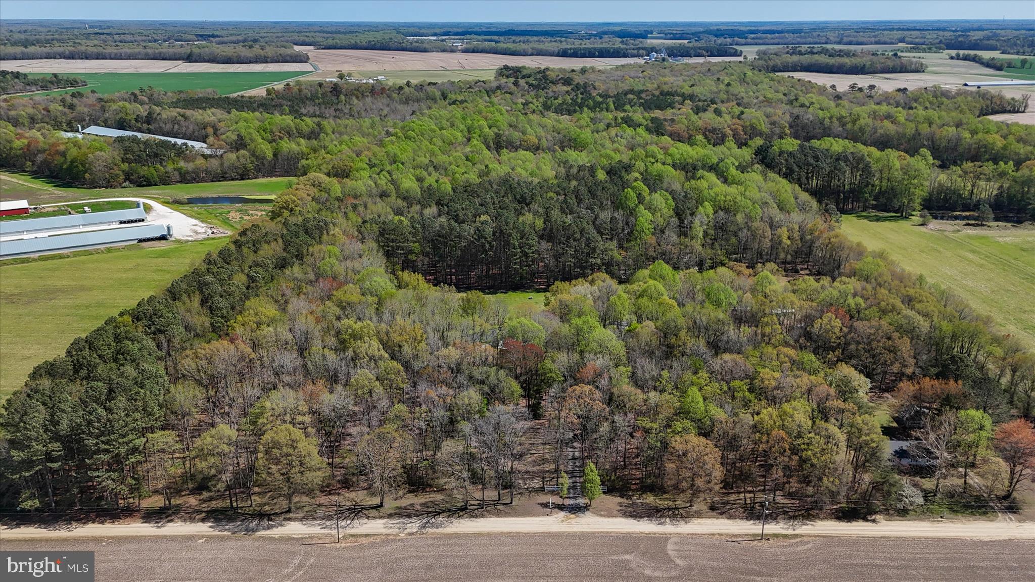 7805 Dyer Road Denton, MD 21629 - Photo 54 of 57 Ariel view of Property and Surrounding Area