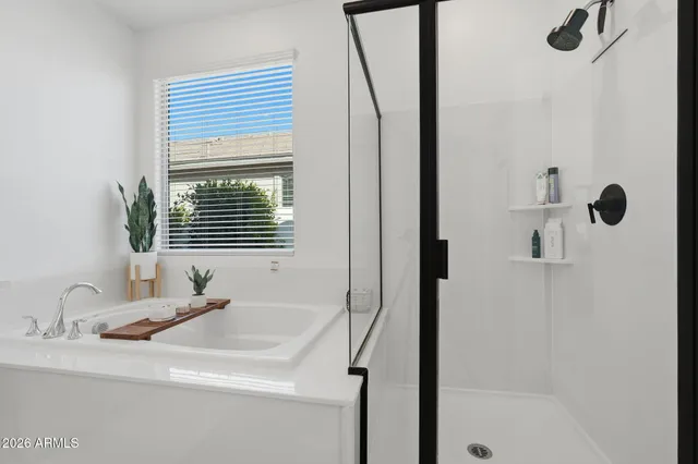 a bathroom with a sink and a shower