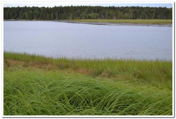380 West Bay Road Gouldsboro, ME 04607 - Photo 4 of 9 20190903143823529652000000-o