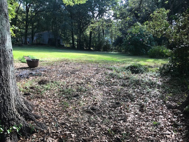 303 Lebanon Road Pendleton, SC 29670 - Photo 8 of 13