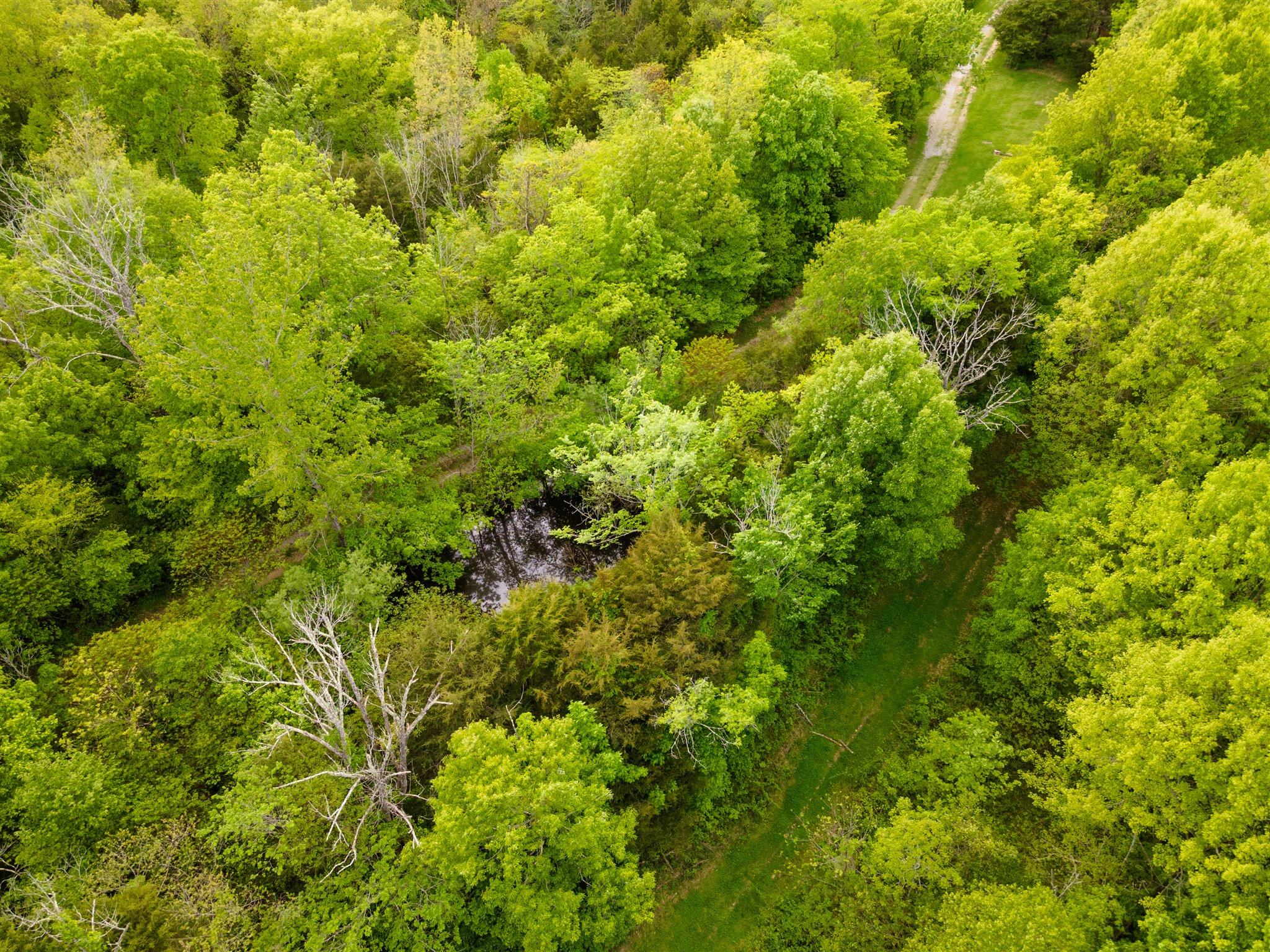 07-DJI_0745