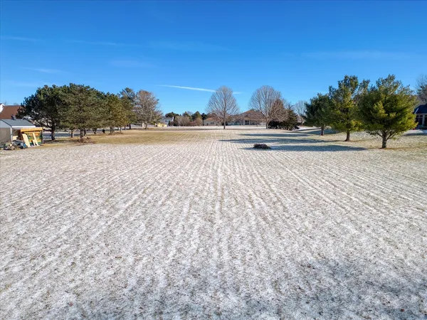 a view of dirt yard with a large tree