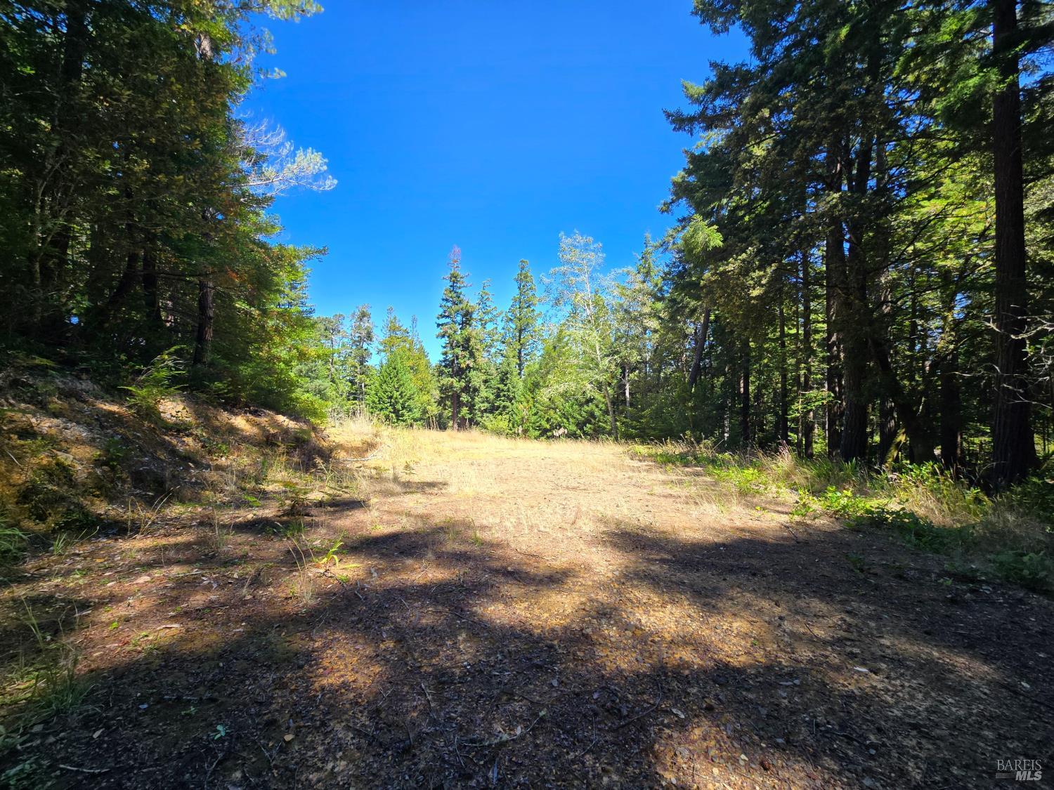 40741 Garcia River Road Point Arena, CA 95468 - Photo 13 of 23 Gallery Image 13