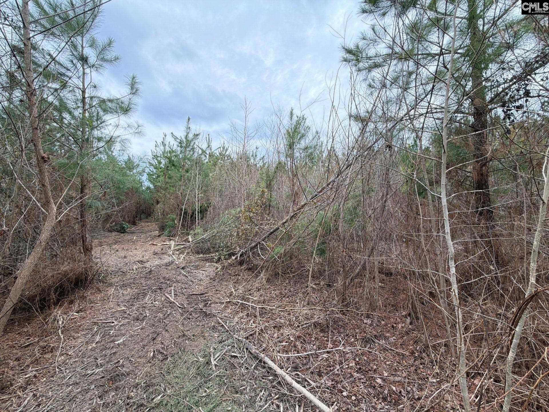 4 Jc Barefoot Road, Unit BFF II 4 Patrick, SC 29584 - Photo 21 of 32