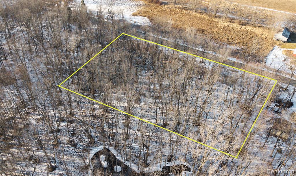 0 Roberts Gregory, MI 48137 - Photo 2 of 5