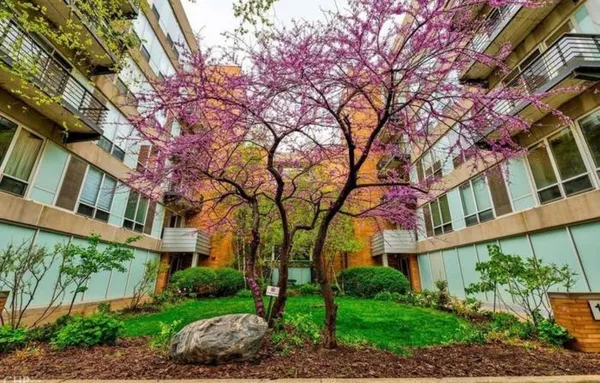 $2,500 | 1430 South Michigan Avenue, Unit 407, Chicago, IL 60605