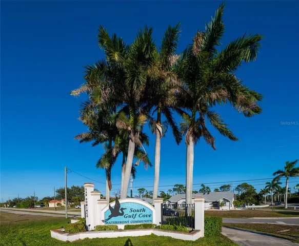 a view of a yard with palm trees