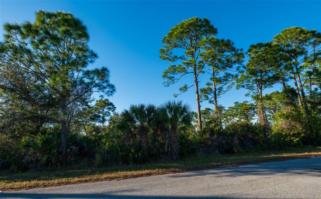 8281 Dimstead Street Port Charlotte, FL 33981 - Photo 2 of 5 a plant that is in front of a house