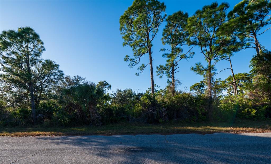 8281 Dimstead Street Port Charlotte, FL 33981 - Photo 4 of 5