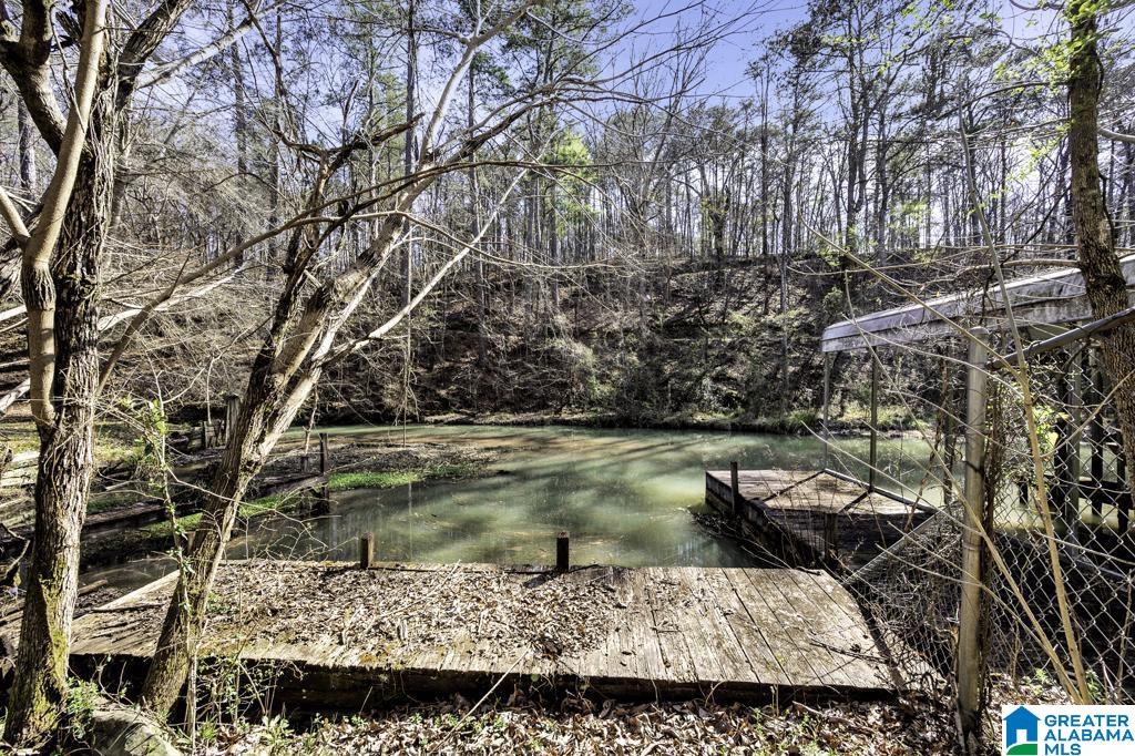 10544 Taylors Ferry Road Bessemer, AL 35023 - Photo 29 of 36 Gallery Image 29