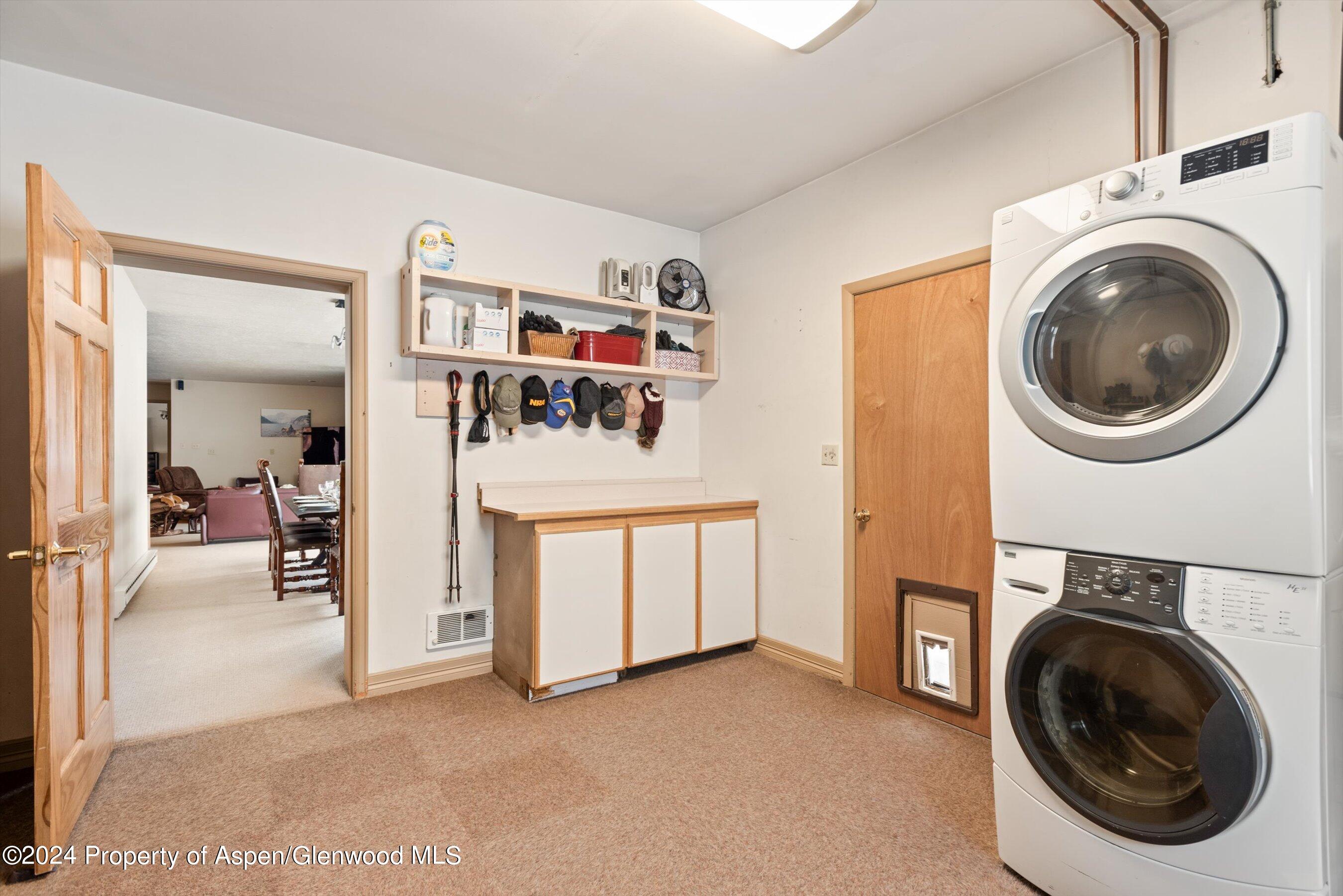 390 Apple Drive Basalt, CO 81621 - Photo 20 of 51 Laundry/mud room