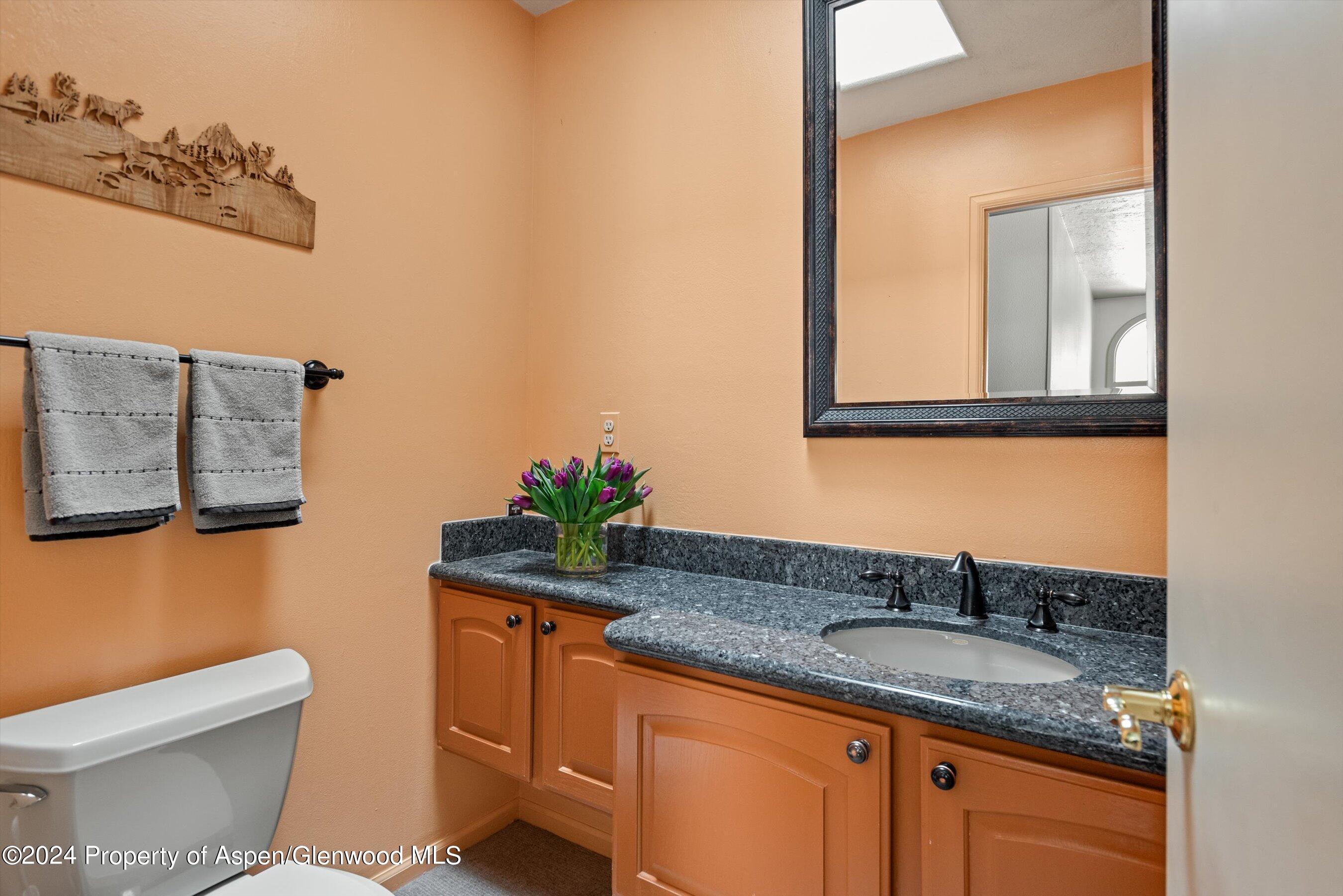 390 Apple Drive Basalt, CO 81621 - Photo 21 of 51 Half Bathroom