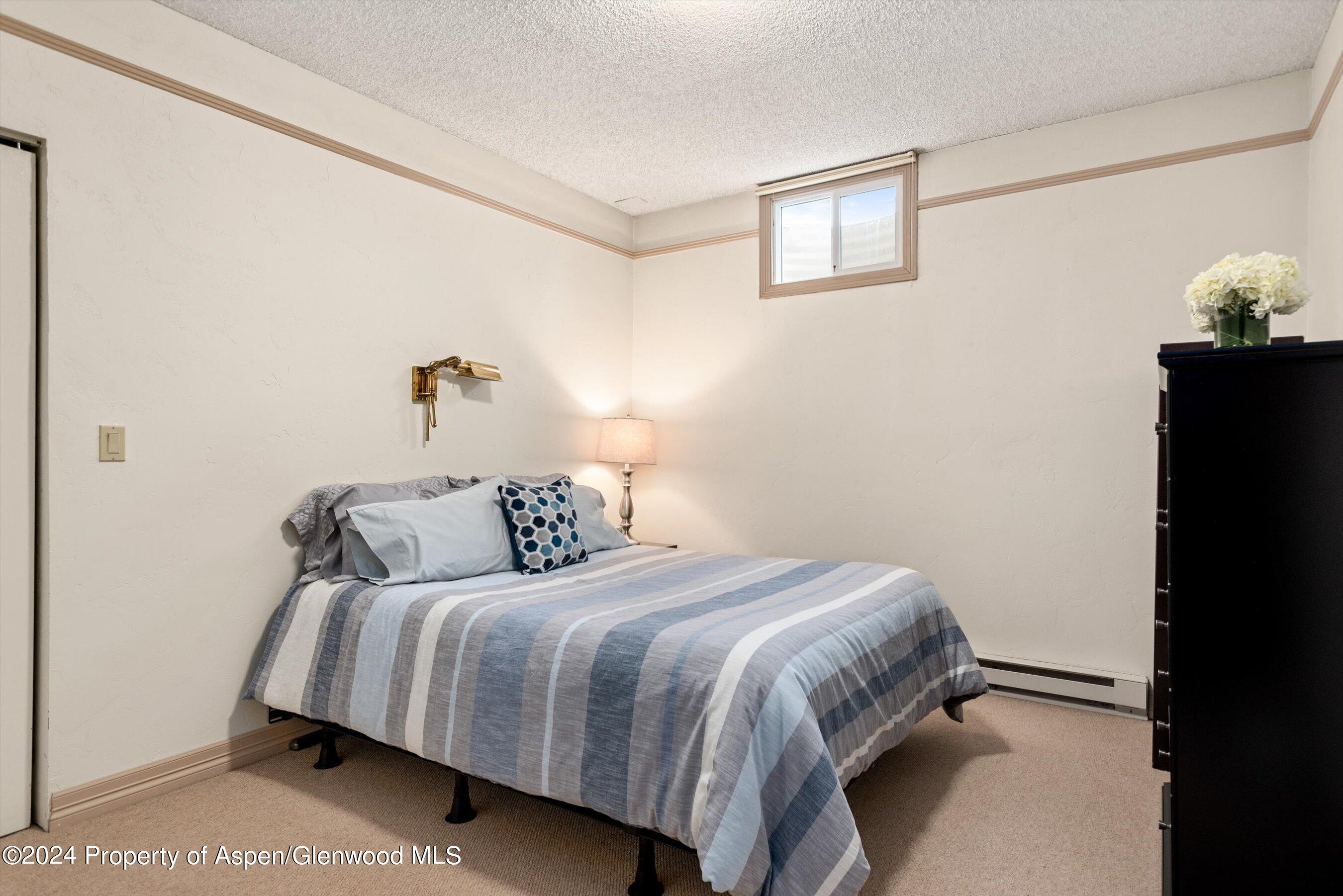 390 Apple Drive Basalt, CO 81621 - Photo 25 of 51 Bedroom 1 Lower Level
