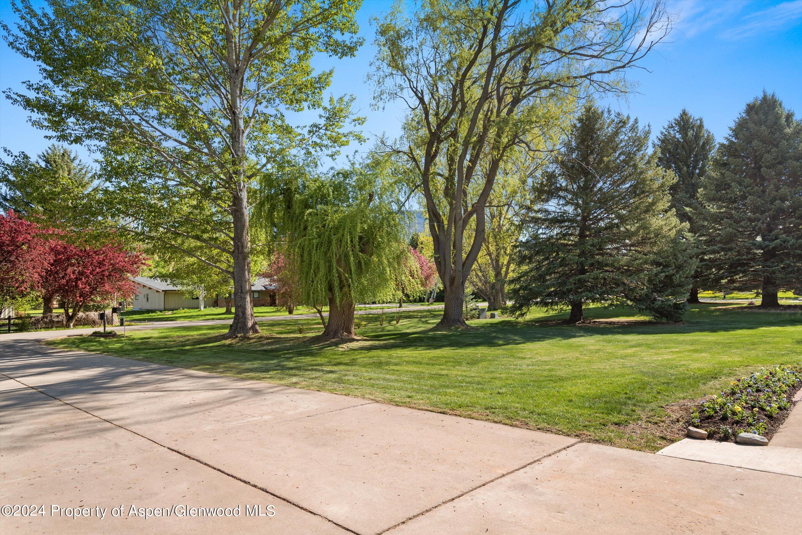 390 Apple Drive Basalt, CO 81621 - Photo 39 of 51 Driveway looking towards Apple Drive
