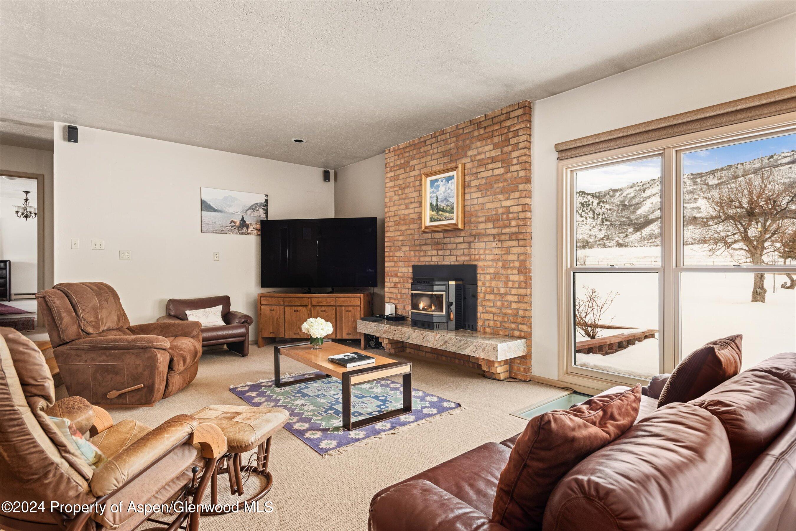390 Apple Drive Basalt, CO 81621 - Photo 8 of 51 Living Room