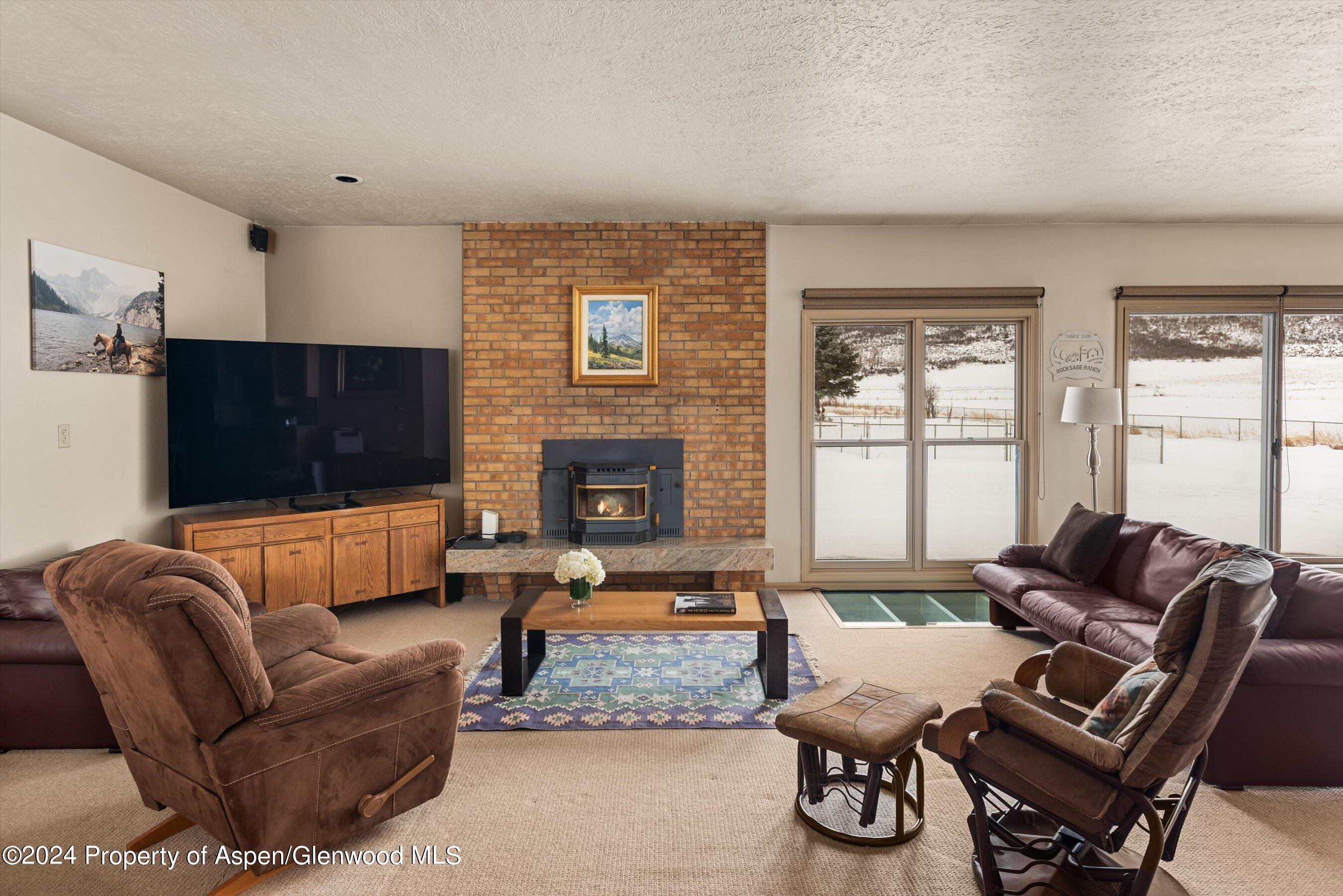 390 Apple Drive Basalt, CO 81621 - Photo 9 of 51 Living Room