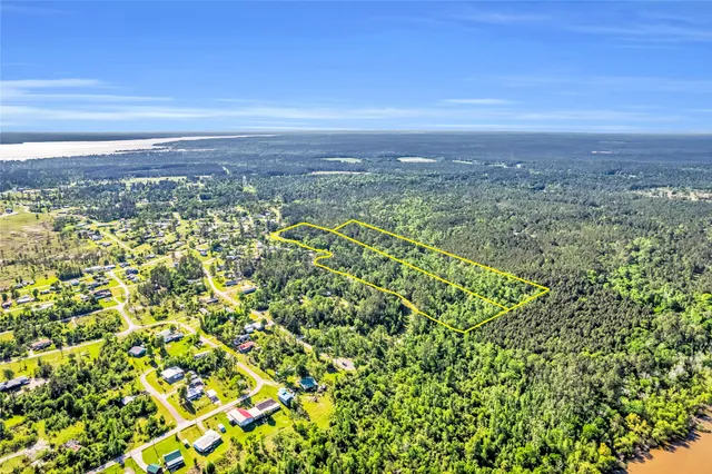 a view of a city with lush green forest