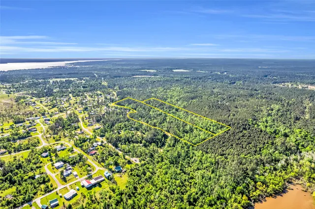 a view of a city with lush green forest