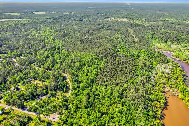 a view of a green field with lots of bushes