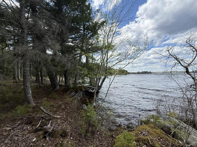Lot12-part Indian Trail Road East Machias, ME 04630 - Photo 9 of 34 IMG_9877