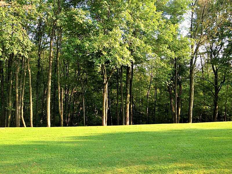 219 Summit Road Butler, PA 16001 - Photo 17 of 17 View. Manicured trees galore.