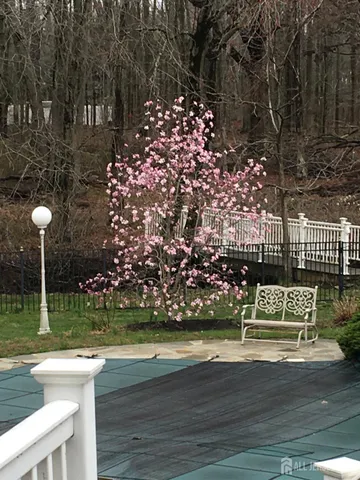 a view of a park with large trees