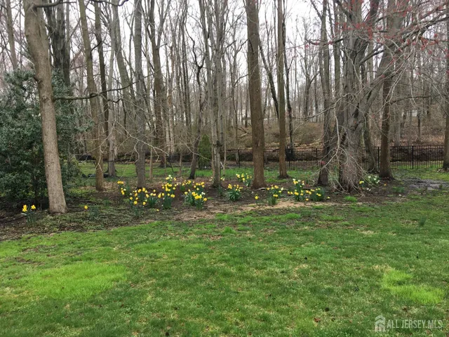 a view of a field with trees in the background