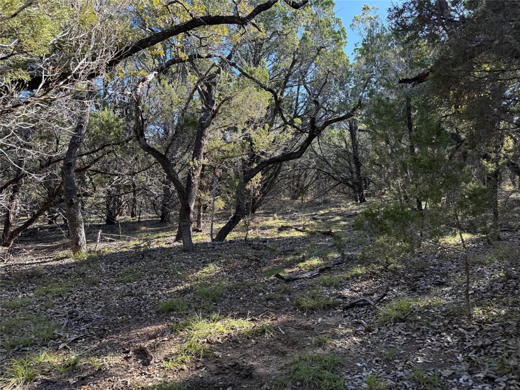 221 Ranch House Road Wimberley, TX 78676 - Photo 6 of 11