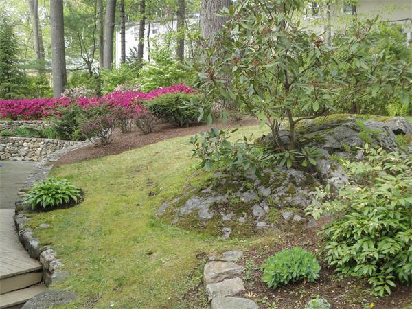 7 Dexter Road Lexington, MA 02420 - Photo 11 of 11