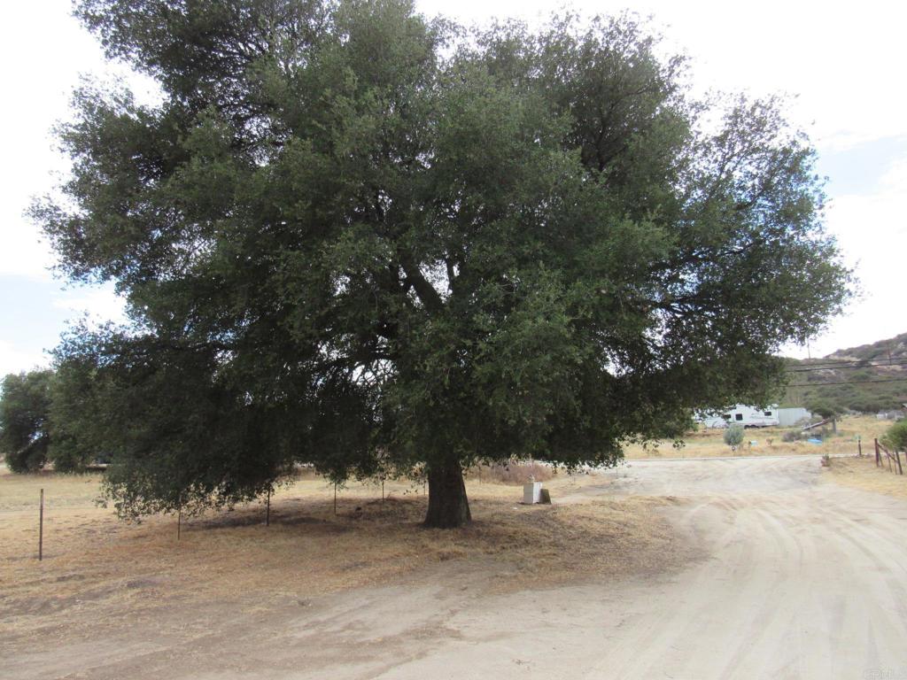 1819 Buckman Springs Road Campo, CA 91906 - Photo 16 of 16